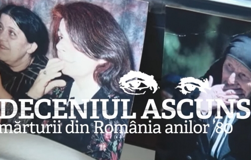 Antropologia anilor '80