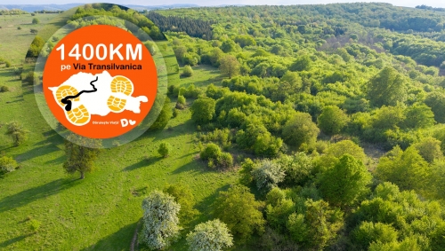 Via Transilvanica – ziua 55: Gărâna – Secu