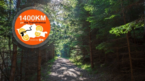 Via Transilvanica - ziua 43: Ciungu Mare - Măgureni