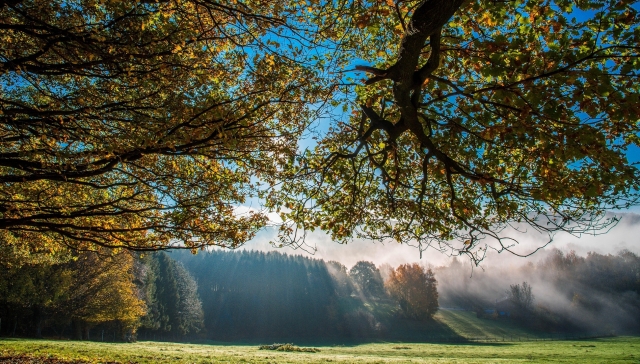 Vremea nu intră niciodată în vacanţă şi fiecare anotimp are farmecul lui.  La TVR1, aflăm din vreme, aproape totul despre vreme! | VIDEO