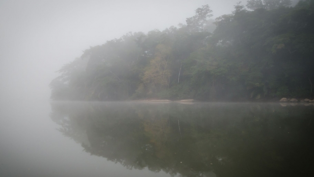 Comoara Verde a Africii de Vest: Complexul Gola-Tiwai, Sanctuarul Biodiversității din Sierra Leone