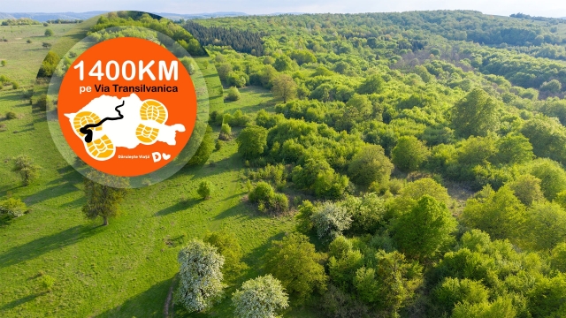 Via Transilvanica - ziua 42: Cugir - Ciungu Mare
