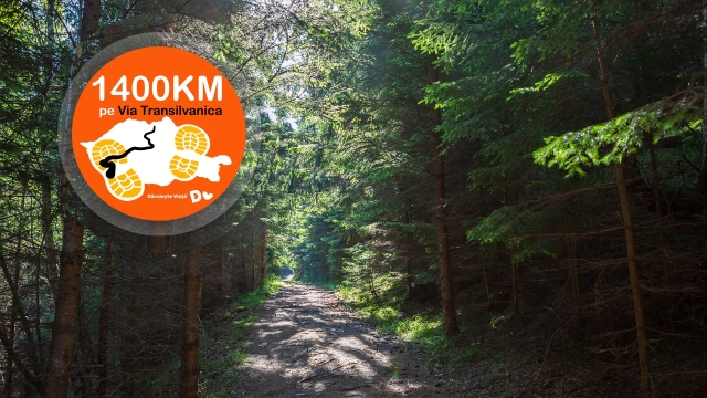 Via Transilvanica - ziua 43: Ciungu Mare - Măgureni