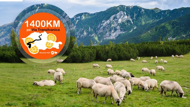 Via Transilvanica - ziua 48: Nucşoara - Sarmizegetusa Ulpia Traiana