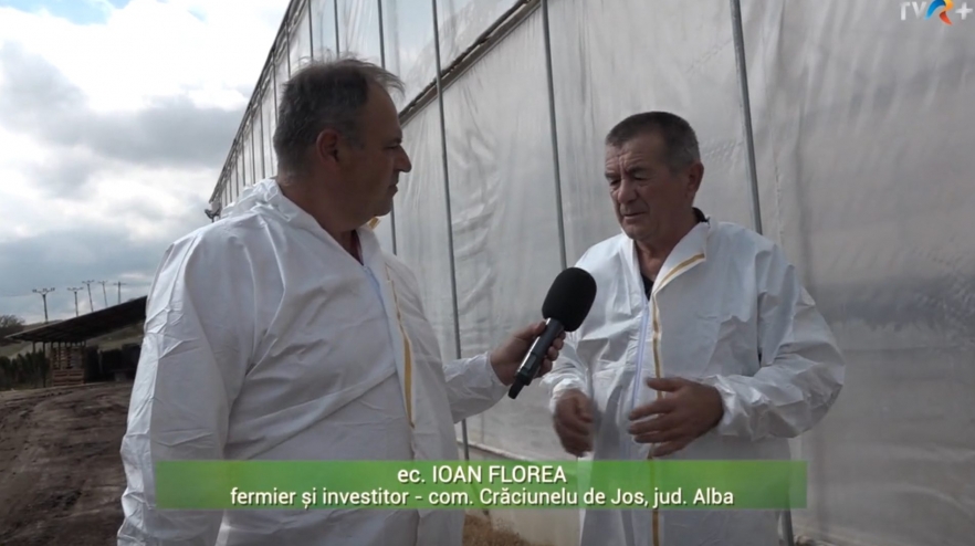 (w882) ferma / tv
