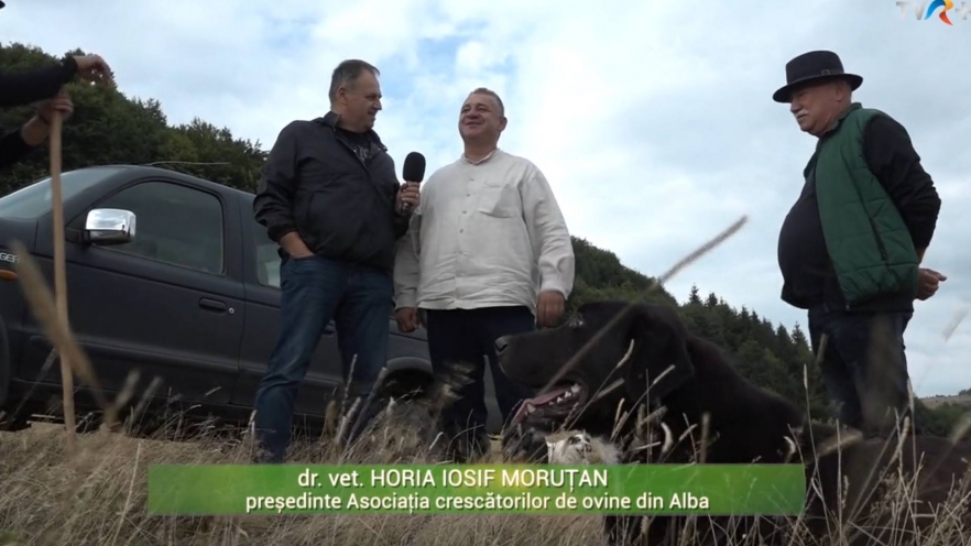 (w882) ferma / tv