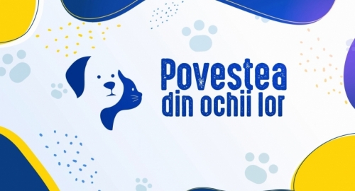 Iubirea fără cuvinte