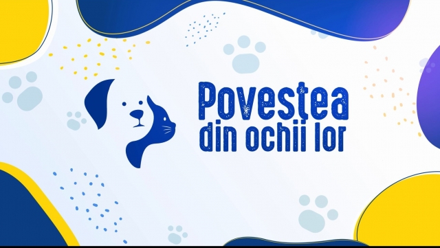 Povestea din ochii lor