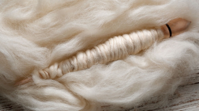 Lâna de oaie, un dar străvechi al naturii