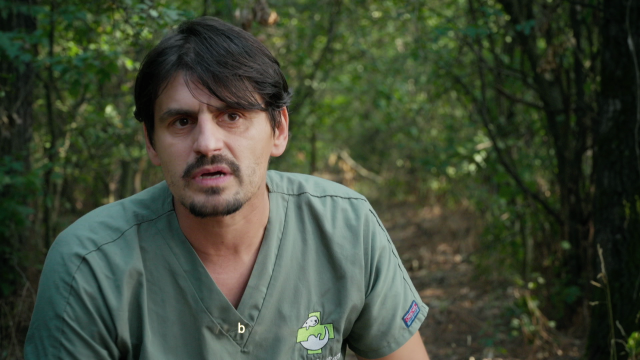 OVIDIU ROȘU - „DOCTORUL ANIMALELOR SĂLBATICE”