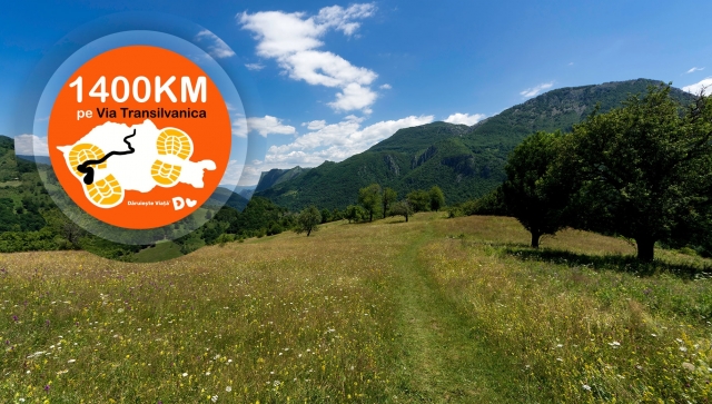 Via Transilvanica - ziua 63: Cireșu - Balotești 