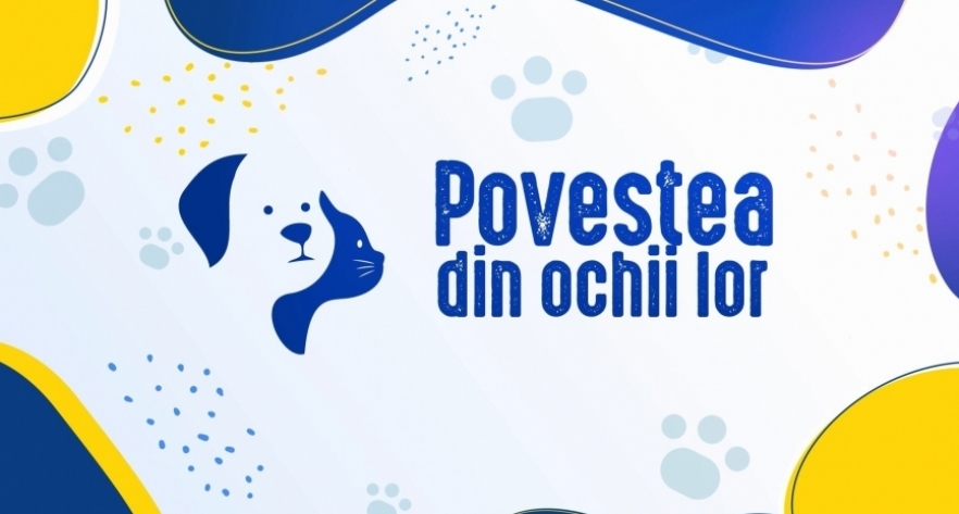  Domnișoara Orhideea caută stăpân