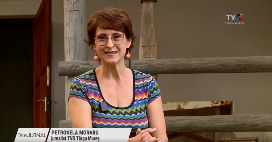 (w882) â€œPicÄƒtu