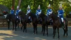 Jandarmeria, expresie vie a legăturii dintre stat și regalitate. Nouă ediţie „Ora Regelui”, la TVR 1