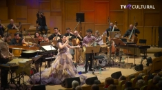 1 Decembrie la TVR CULTURAL - o zi de dublă sărbătoare în care artele spun povestea României