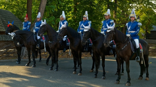 Jandarmeria, expresie vie a legăturii dintre stat și regalitate. Nouă ediţie „Ora Regelui”, la TVR 1