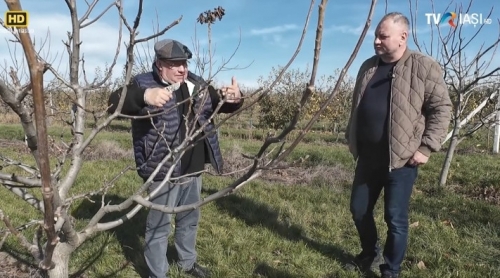 “Satul meu”: Pregătirea livezilor pentru iarnă | VIDEO