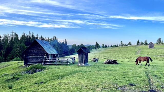 Bucovina, VATRA MOLDOVITEI