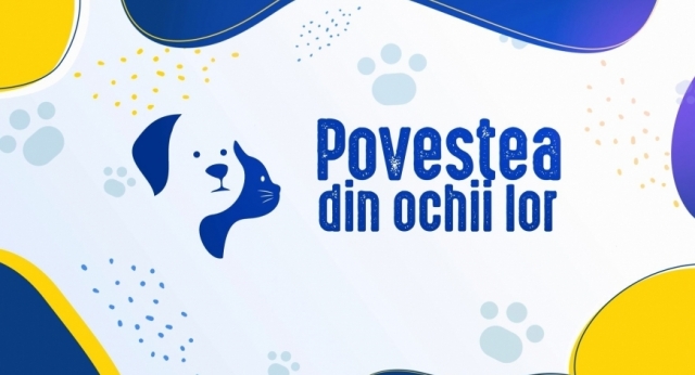 Povestea din ochii lor: Campionatul Mondial de Frumusețe Felină la București!