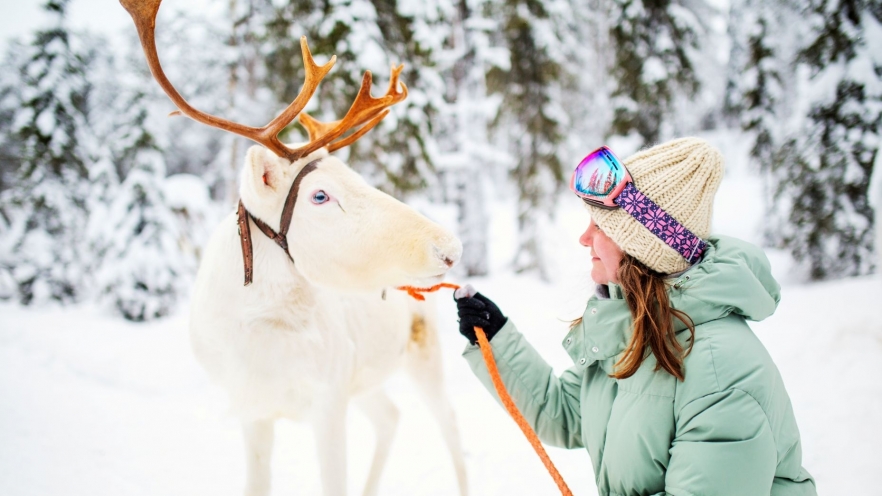 Cele mai frumoase experiențe de trăit în Laponia în vacanțele de iarnă