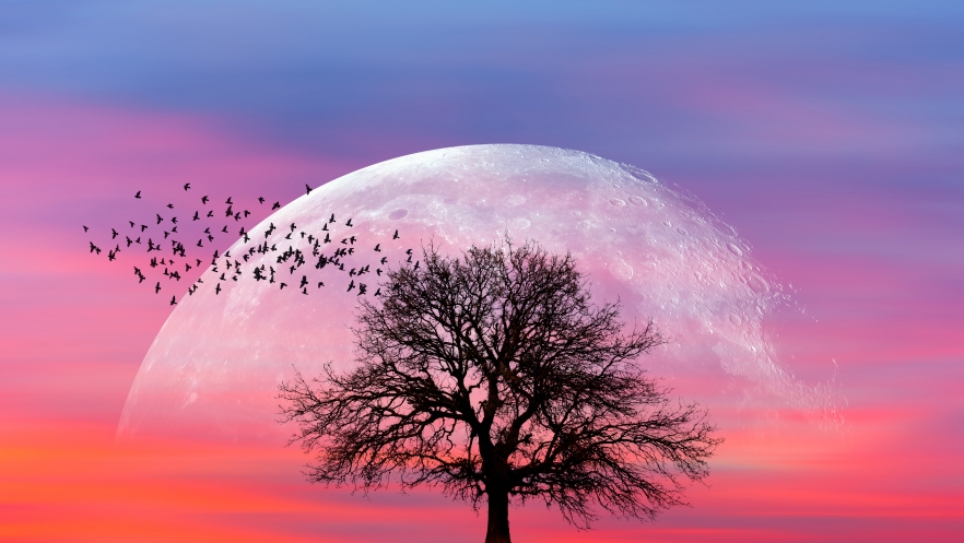 Horoscopul zilei de 5 noiembrie