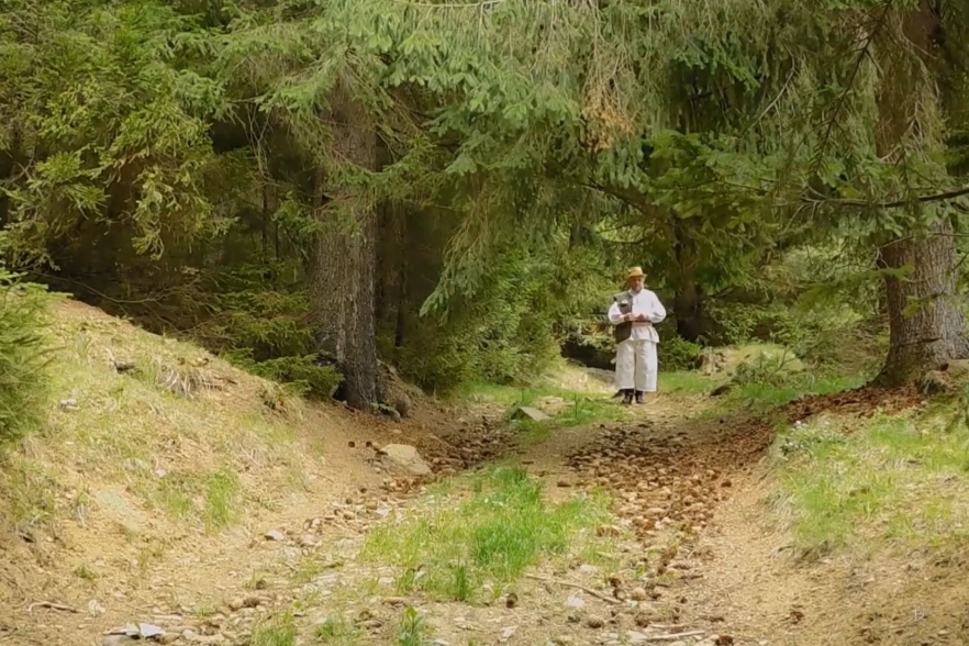 (w882) â€œCÃ¢ntec