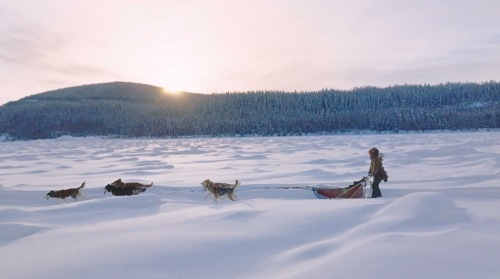 Sărbători cu eroi îndrăgiţi, la TVR 1