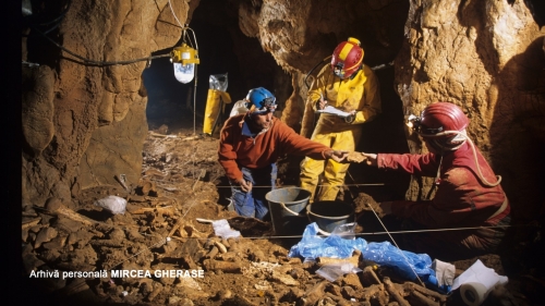 Peștera cu Oase: Un puzzle de 40.000 de ani și războiul surd dintre știință și birocrație