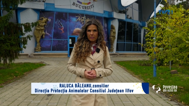 povestea din ochii lor / tvr