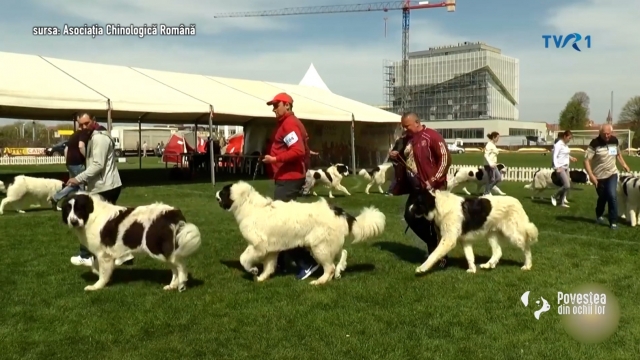 povestea din ochii lor / tvr