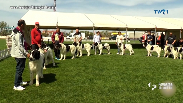 povestea din ochii lor / tvr