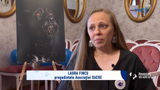 povestea din ochii lor / tvr