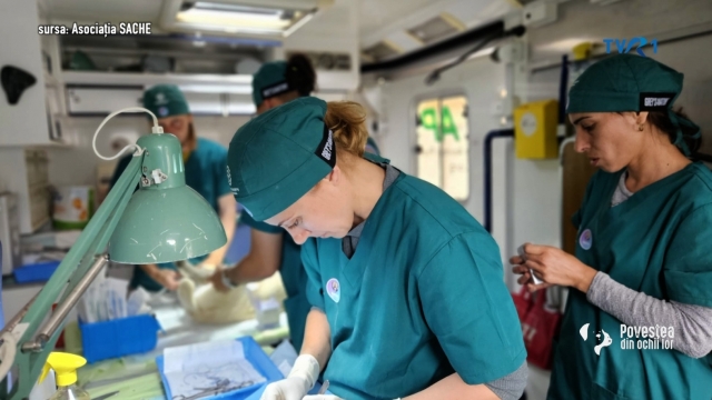 povestea din ochii lor / tvr