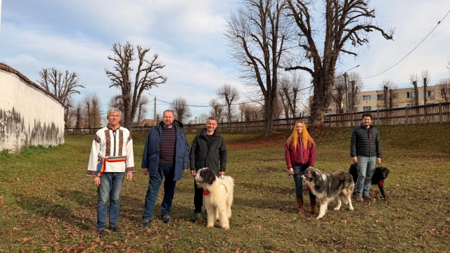 Braşov: „heavy animals”, rock, bucate şi tradiţii. Duminică, la „Exclusiv în România”