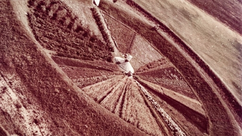 Când agricultura a devenit armă: adevărul din spatele unei experiment - „Grădina sovietică”, la TVR Cultural