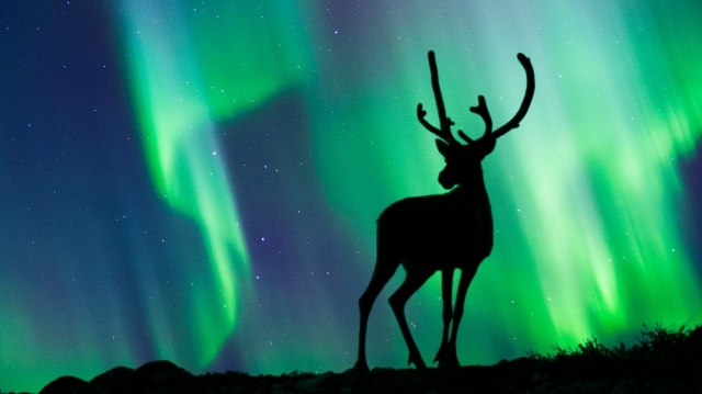 Horoscopul zilei de 23 februarie