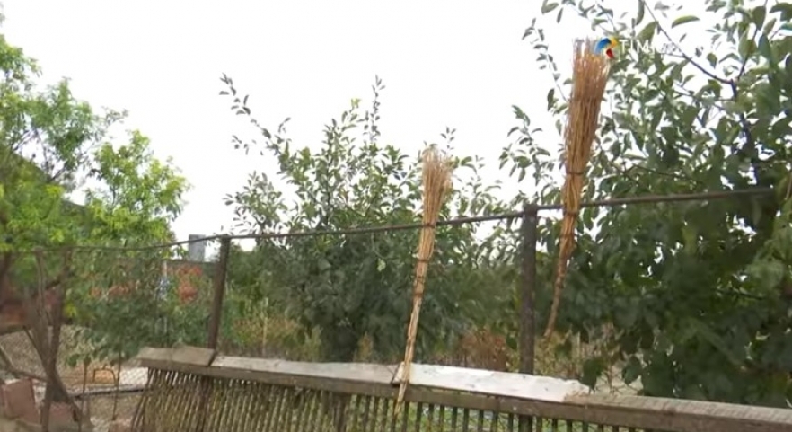 (w882) â€œCum ne-