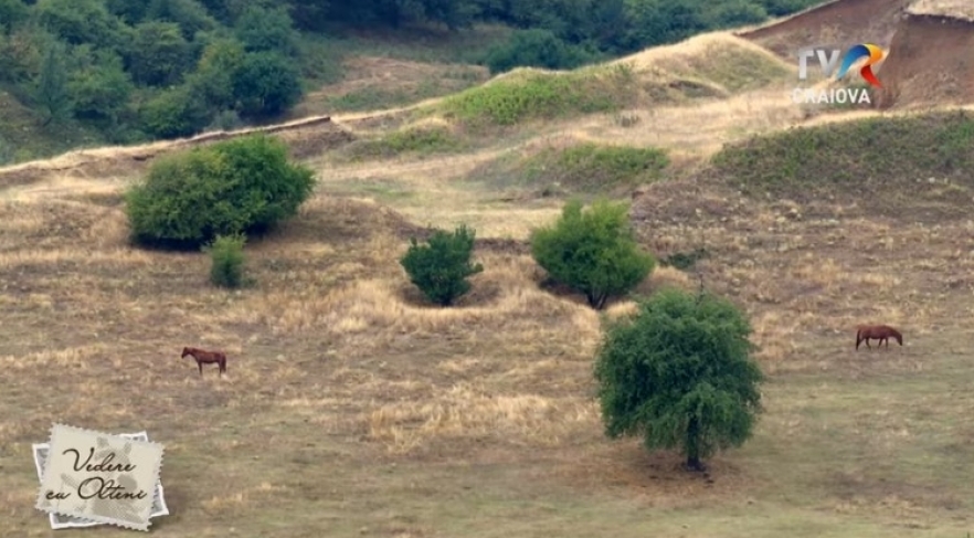 (w882) â€œVedere