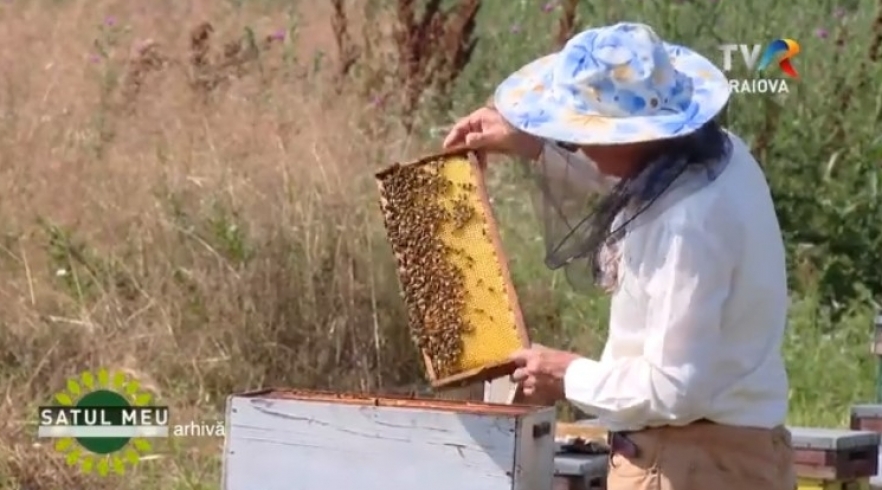 (w882) â€œSatul m