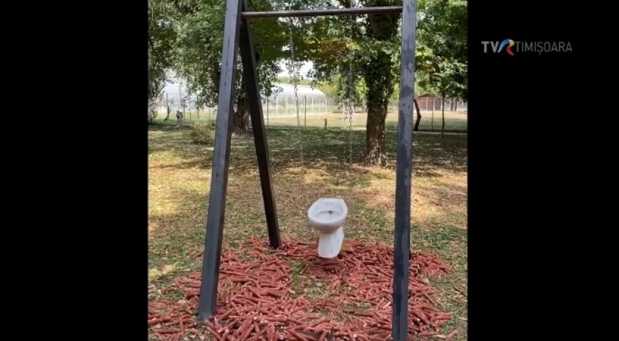 (w882) â€œSelfieâ