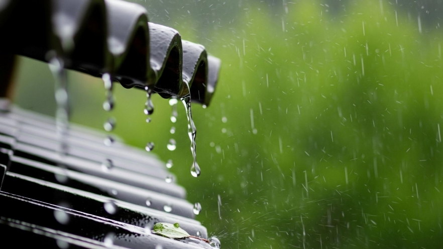 Colectarea apei de ploaie, investiția inteligentă pentru gospodăriile moderne