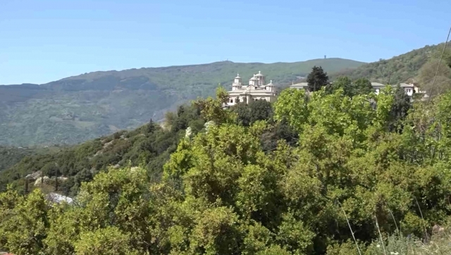  Dimineţile îngerilor