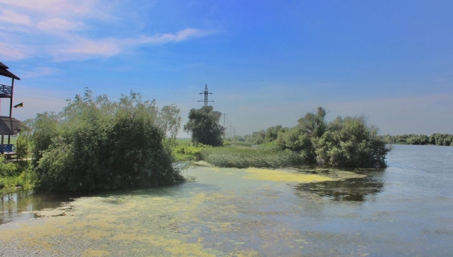 (P) De ce este Delta Dunării o minune naturală care merită explorată?