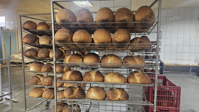 Pită de Pecica, Exclusiv in Romania