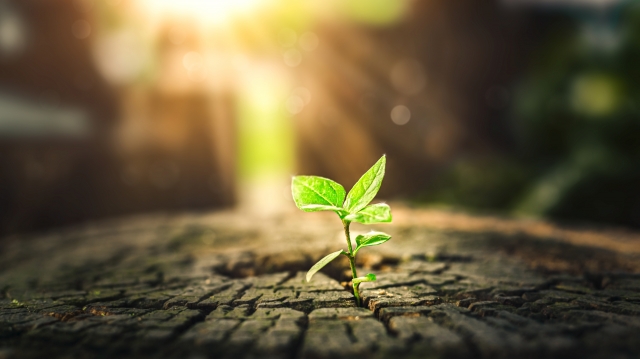 Horoscopul zilei de 16 martie