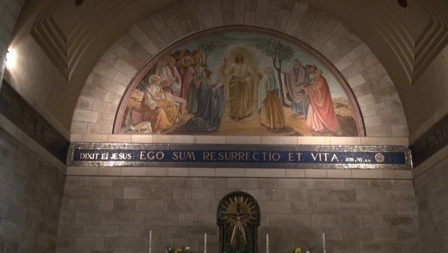 (w882) 2 capsule comp