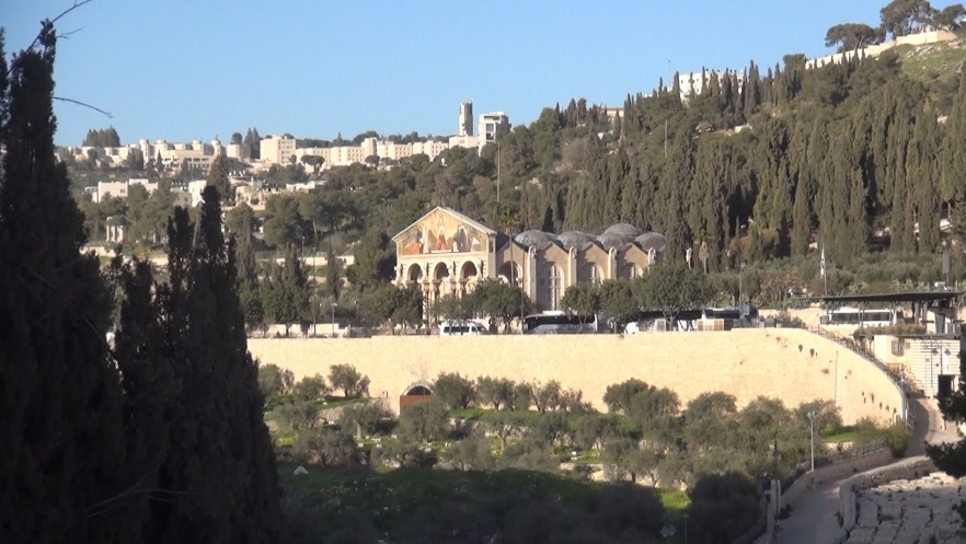 (w882) 4 capsule comp