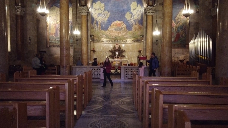 (w882) 5 capsule comp