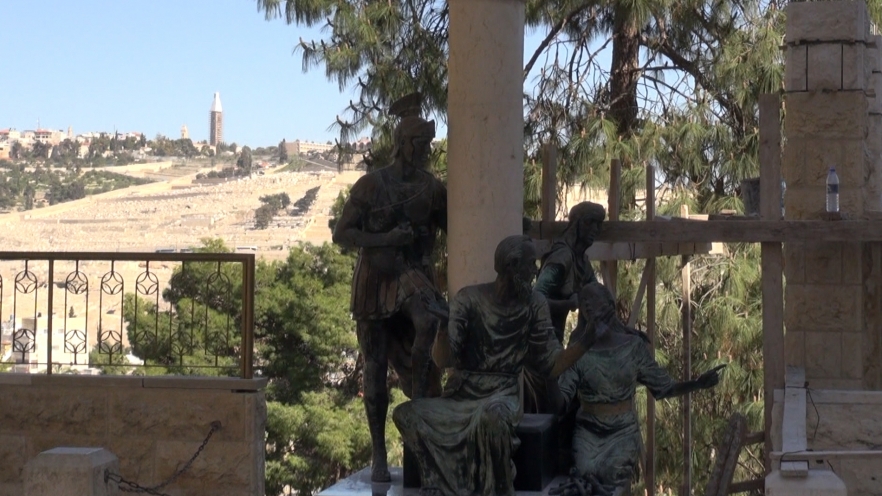 (w882) comprimat cu 6 capsule