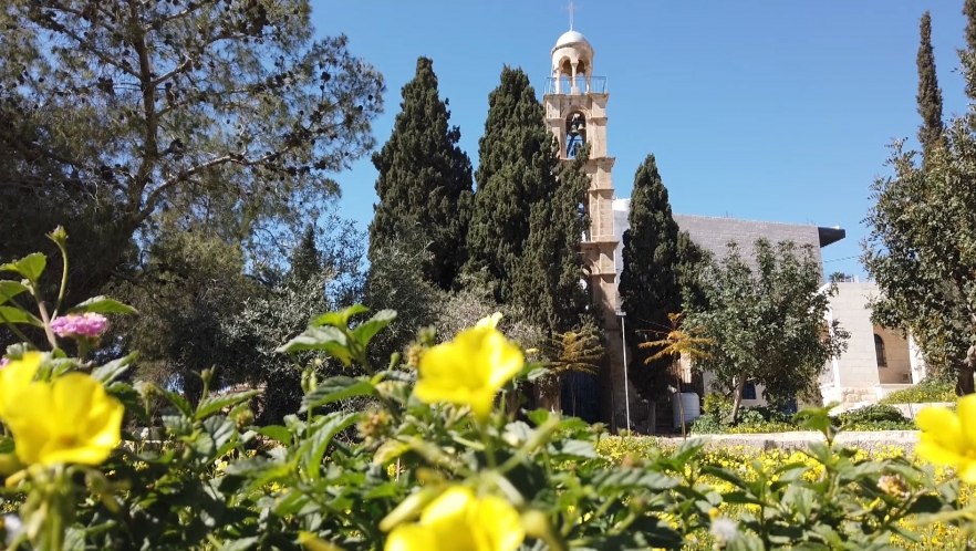 (w882) 8 capsule comp